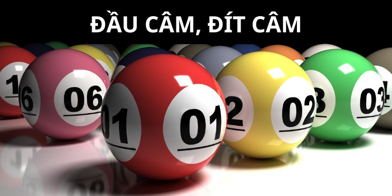 3 thao tác khi áp dụng đầu câm, đít câm trong khung 2 ngày